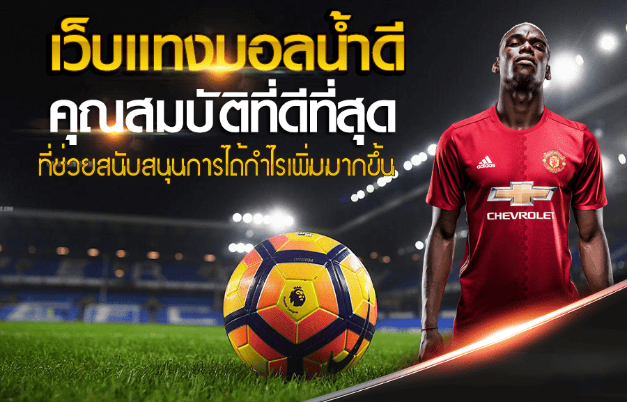 เว็บแทงบอลออนไลน์ เว็บตรง