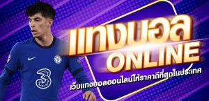 เว็บบอล